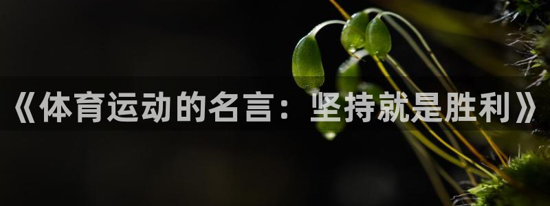 公海赌赌船官网下载平台注册要钱吗是真的吗:《体育运动的名言: