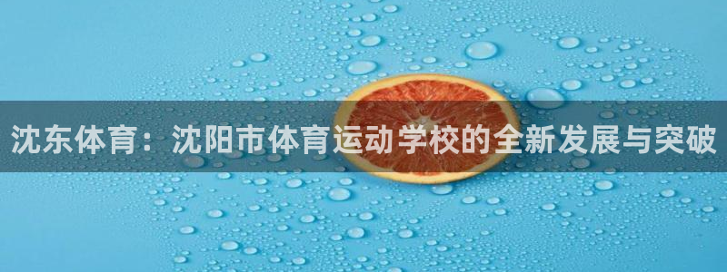 公海赌赌船官网下载是干嘛的公司:沈东体育:沈阳市体育运动学校