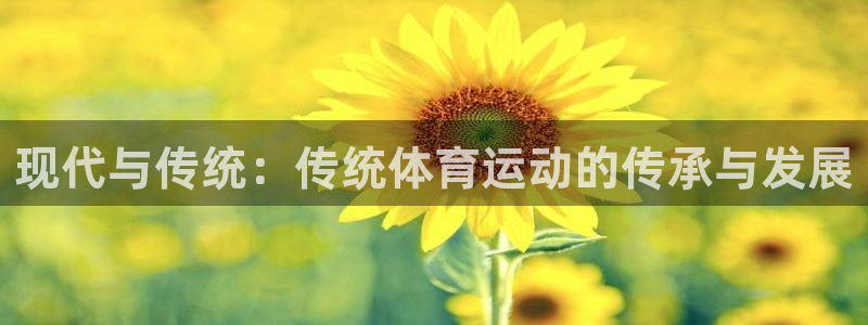 公海赌赌船官网下载招商电话号码是多少啊:现代与传统:传统体育